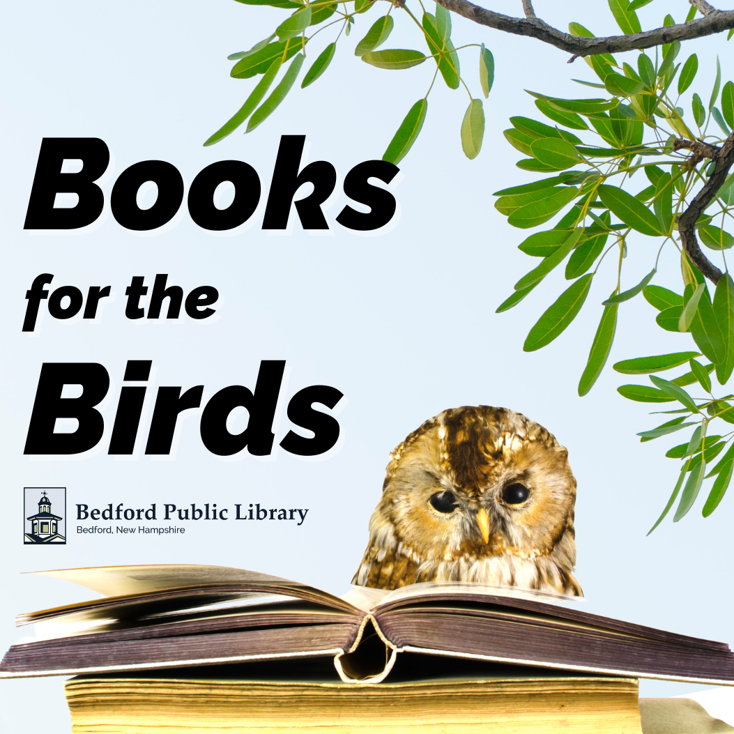 Books for the birds to celebrate the beginning of spring